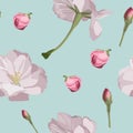 Seamless pattern with hand drawn sakura flowers. Beautiful floral design elements. Royalty Free Stock Photo