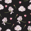 Seamless pattern with hand drawn sakura flowers. Royalty Free Stock Photo