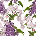 Seamless pattern with hand drawn sakura, violet lilac flowers with green leaves. Royalty Free Stock Photo