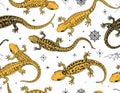 Seamless Pattern with Hand-Drawn Salamanders and Mystical Elements Royalty Free Stock Photo