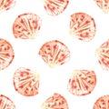 seamless pattern with hand-drawn scallop shells in watercolor pink sand colors on a white background. Beautiful elements of marine Royalty Free Stock Photo