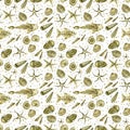 Seamless pattern of hand drawn seashell, ammonites, trilobite and other fossil animals