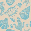 Seamless pattern with hand drawn seashells. Marine background. Royalty Free Stock Photo