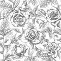 Seamless pattern Hand drawn sketch roses Detailed vintage botanical illuatration. Floral frame. Black silhouette