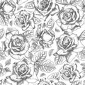 Seamless pattern Hand drawn sketch roses Detailed vintage botanical illuatration. Floral frame. Black silhouette