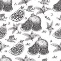 Seamless pattern Hand drawn sketch style pomegranates with seeds and leafs. Sketch style vector illustration. Organic Royalty Free Stock Photo