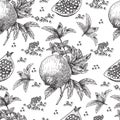 Seamless pattern Hand drawn sketch style pomegranates with seeds and leafs. Sketch style vector illustration. Organic Royalty Free Stock Photo