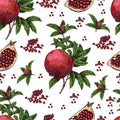 Seamless pattern Hand drawn sketch style pomegranates with seeds and leafs. Sketch style vector illustration. Organic Royalty Free Stock Photo