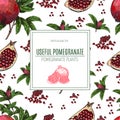 Seamless pattern Hand drawn sketch style pomegranates with seeds and leafs. Sketch style vector illustration. Organic Royalty Free Stock Photo