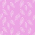 Seamless pattern with hand-drawn softness white feathers on pink background, Great for wedding decor, wrapping paper, background,