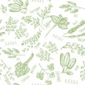 Seamless pattern with hand drawn spicy herbs. Culinary kitchen background with herbs. Perfectly look on kitchen textile, fabric. Royalty Free Stock Photo