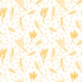 Seamless pattern with hand drawn spikelets of wheat in sketch. Grain ears. Rye, barley, wheat Royalty Free Stock Photo