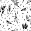 Seamless pattern with hand drawn spikelets of wheat in sketch. Grain ears. Rye, barley, wheat Royalty Free Stock Photo