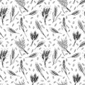 Seamless pattern with hand drawn spikelets of wheat in sketch. Grain ears. Rye, barley, wheat Royalty Free Stock Photo