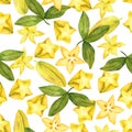 Starfruit pattern on white