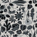 Seamless pattern with hand drawn stylized almond, dandelion, ginger, poppy flower, passion flower, tilia cordata Royalty Free Stock Photo