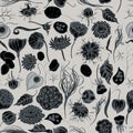 Seamless pattern with hand drawn stylized black caraway, feather grass, helichrysum, lotus, lunaria, physalis