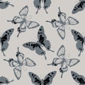 Seamless pattern with hand drawn stylized graphium weiskei, chorinea octauius Royalty Free Stock Photo