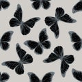 Seamless pattern with hand drawn stylized morpho menelaus, morpho rhetenor cacica