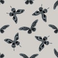 Seamless pattern with hand drawn stylized papilio antimachus, papilio torquatus