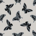 Seamless pattern with hand drawn stylized papilio palinurus, ornithoptera goliath