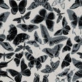 Seamless pattern with hand drawn stylized papilio ulysses, morpho menelaus, graphium androcles, morpho rhetenor cacica