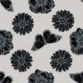 Seamless pattern with hand drawn stylized poppy flower, calendula, plain tiger Royalty Free Stock Photo