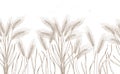 Seamless pattern. Hand drawn vector illustration - Wheat. Rustic background branches and stalks of cereals. Design elements in