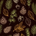 Seamless pattern. Hand drawn vector illustrations - Forest Autumn collection. Spruce branches, acorns, pine cones, fall leaves. D Royalty Free Stock Photo