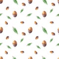 Seamless pattern with hand-drawn watercolor acorn and spruce branch on white background. Texture for wrapping paper, decor, fabric