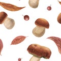 Seamless pattern of hand-drawn watercolor ceps, orange autumn leaves and red berries