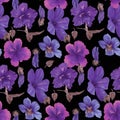 Seamless pattern of hand-drawn watercolor illustrations of Hawaiian hibiscus flowers. Bright tropical flowers on a black