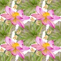 Seamless pattern with hand drawn watercolor of lotus flowers and leaves and dragonflies Royalty Free Stock Photo