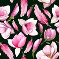 Seamless pattern hand-drawn watercolor pink bird feathers and magnolia flowers on a dark green background. Drawing for the design Royalty Free Stock Photo