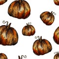 Seamless pattern hand-drawn watercolor pumpkins. It is the perfect for Thanksgiving Day, Halloween, greeting card. Print of white Royalty Free Stock Photo