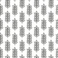 Seamless pattern with hand drawn wheat cereals.