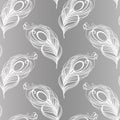 Seamless pattern, hand drawn white peacock feathers on a gray background. Background, print, elegant textile Royalty Free Stock Photo