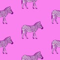 Seamless pattern with hand drawn zebra vector illustration.