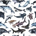 Seamless pattern hand painted in watercolor with Sharks, Whales, ocean animals isolated on white background. Cute