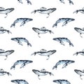 Seamless pattern hand painted in watercolor with Whales, ocean animals isolated on white background. Cute cartoon