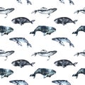 Seamless pattern hand painted in watercolor with Whales, ocean animals isolated on white background. Cute cartoon