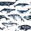 Seamless pattern hand painted in watercolor with Whales, ocean animals isolated on white background. Cute cartoon