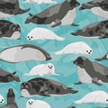 Seamless pattern. Harp Seal against the background of ice floes. Males, females and pups of Pagophilus groenlandicus. Animals mamm