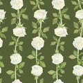 Seamless pattern hedge of white roses and leaves. Watercolor botanical illustration. Isolated on a green background.Hand