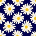 Seamless pattern with herbal chamomile illustration on dark blue background