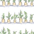 Seamless Pattern with herbs of carrots made for printing, wrapping and textile