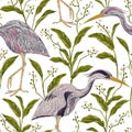 Seamless pattern with heron bird and swamp plants. Royalty Free Stock Photo