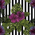 Seamless pattern with hibiscus flowers. Royalty Free Stock Photo