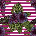 Seamless pattern with hibiscus flowers. Royalty Free Stock Photo