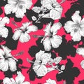 Seamless pattern with hibiscus Royalty Free Stock Photo